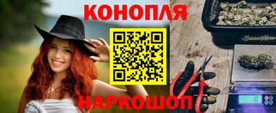 гашик Гусь-Хрустальный