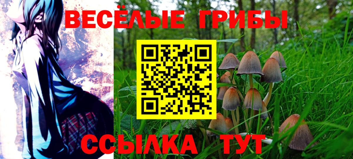 Галлюциногенные грибы Cubensis  где можно купить наркотик  Галлюциногенные грибы мицелий  Норильск  Вход с VPN 
